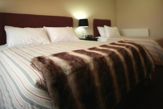 Forest Lodge Methven Rom bilde